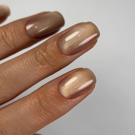 Dark gel polish Cat Eye 14