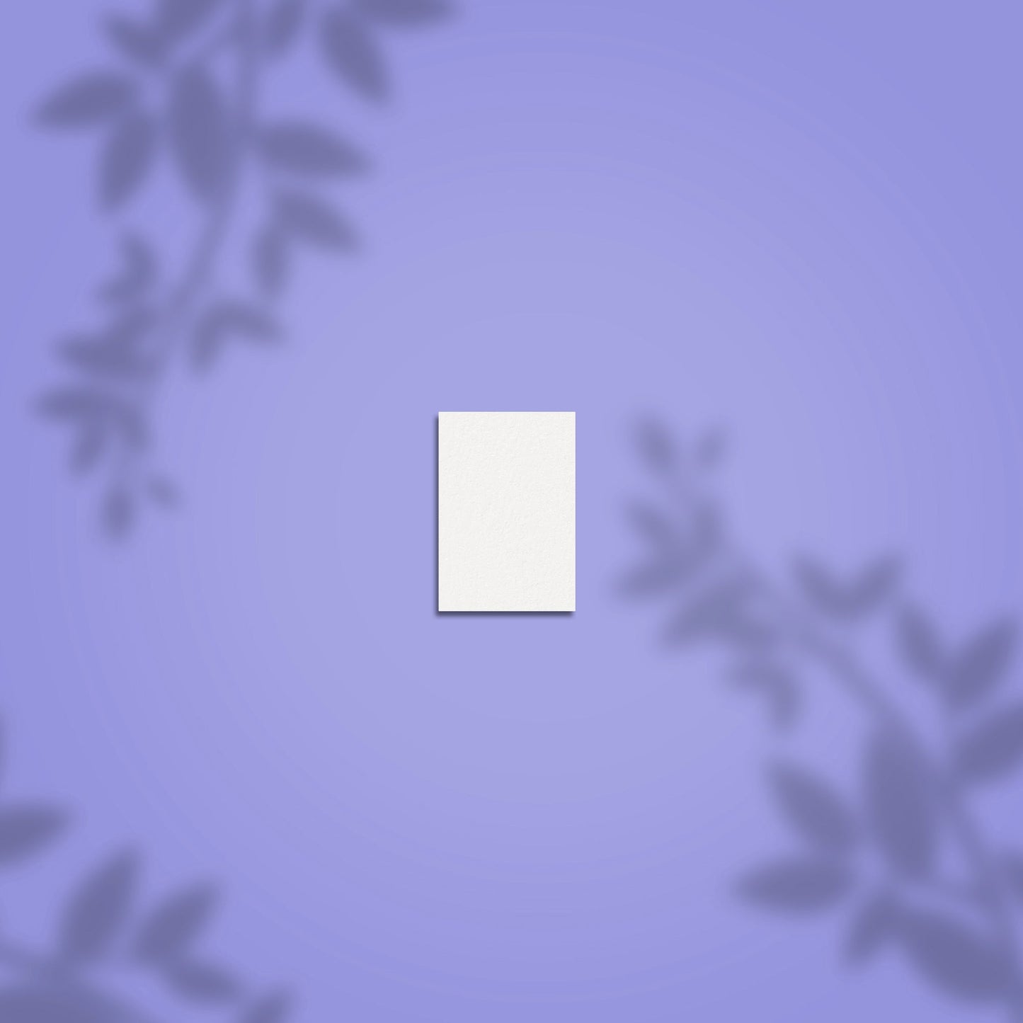 Slijppolijstmiddel Rechthoekig Mini EXPERT 51 100/180 Korrel (50 Stuks)