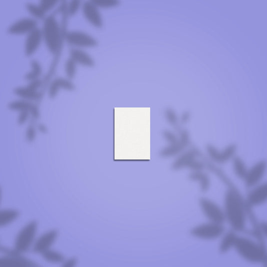 Slijppolijstmiddel Rechthoekig Mini EXPERT 51 100/180 Korrel (50 Stuks)