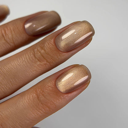 Dark gel polish Cat Eye 14