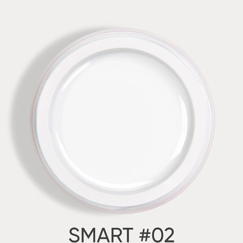 DARK Smart Builder Gel №02