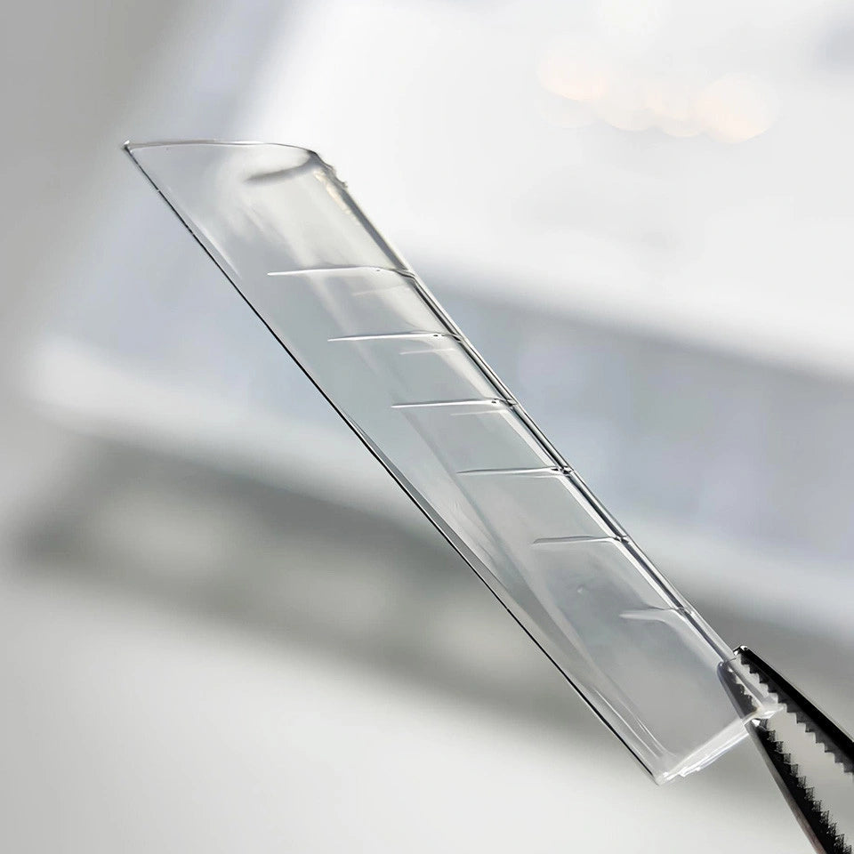 DARK TOP FORMS GOTHIC BALLERINA